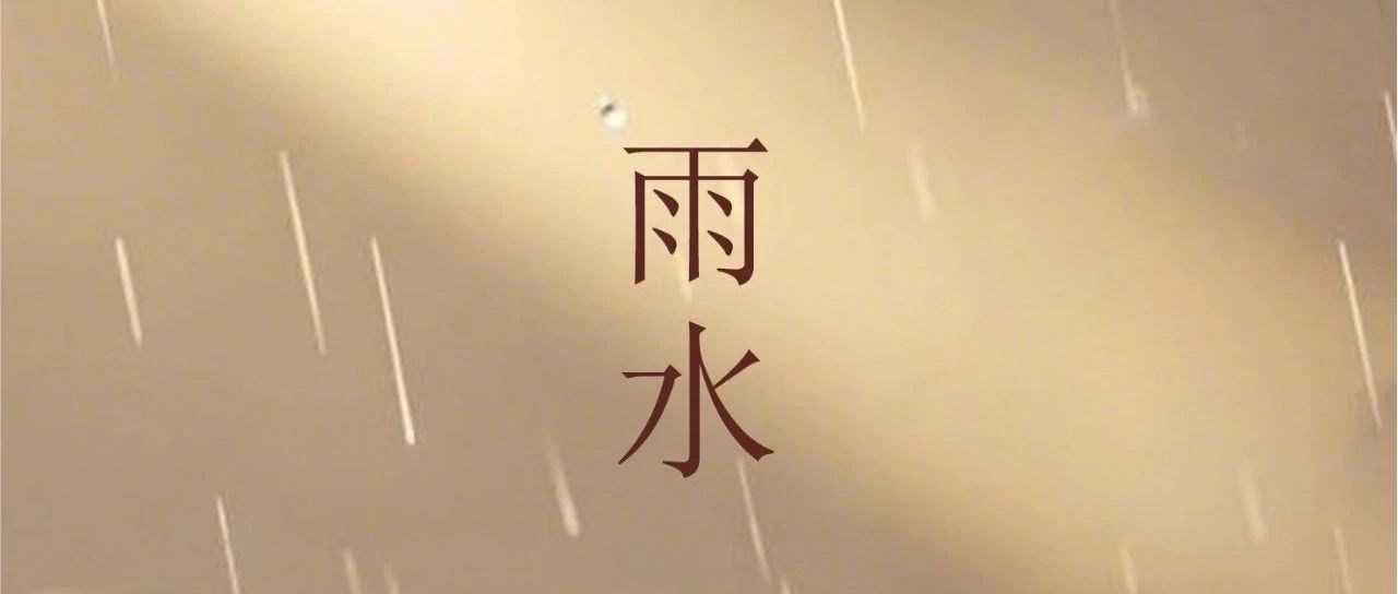 雨水 | 雨润万物生  静待春暖花